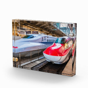 Zwei Shinkansen am Bahnhof Tokio Fotoblock