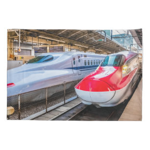 Zwei Shinkansen am Bahnhof Tokio Kissenbezug