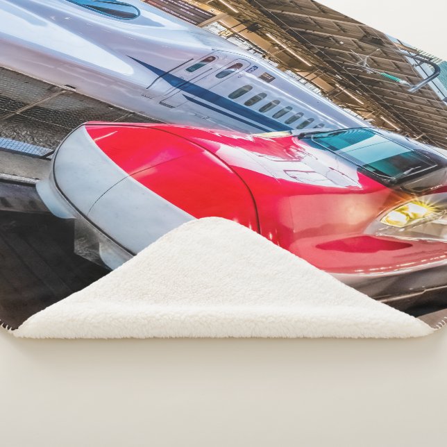 Zwei Shinkansen am Bahnhof Tokio Sherpadecke (3/4)