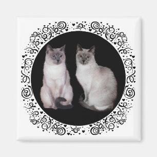 Zwei Siamkatzen Magnet