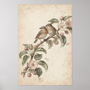 Zwei Singvögel auf Apfelblüten Botanisches Poster