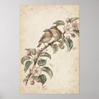Zwei Singvögel auf Apfelblüten Botanisches Poster