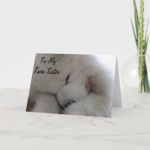 ZWEI SISTER BIRTHDAY WÜNSCHT VON MEINEM HERZEN KARTE