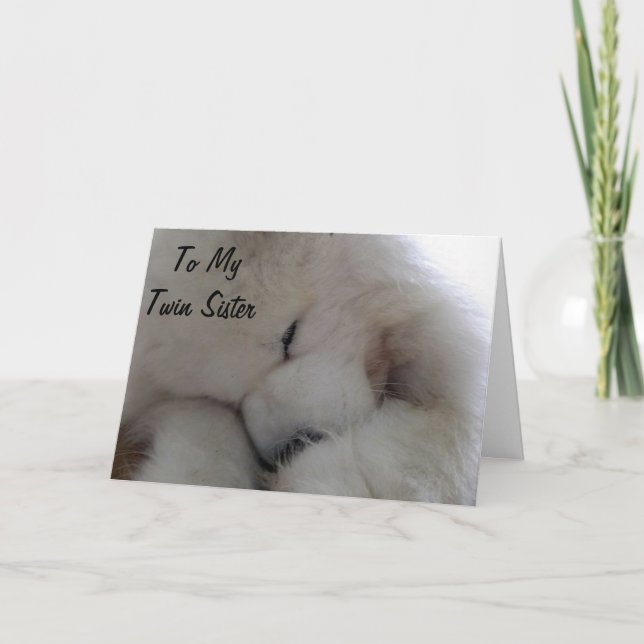 ZWEI SISTER BIRTHDAY WÜNSCHT VON MEINEM HERZEN KARTE (Vorderseite)