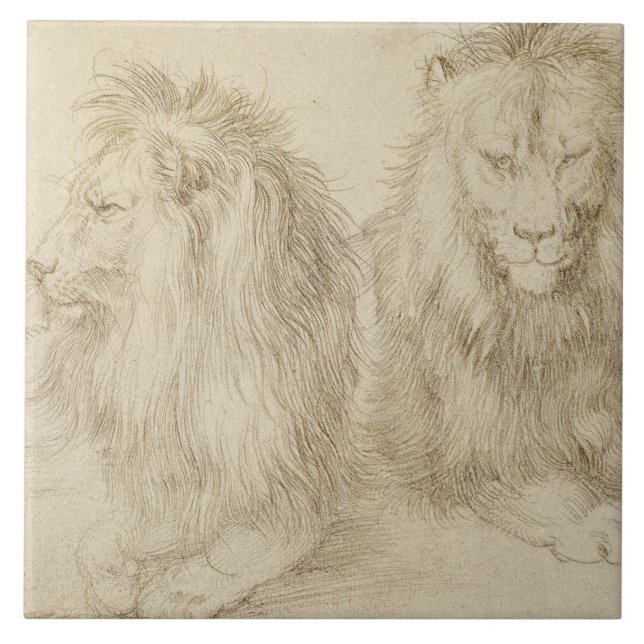Zwei Sitzbänke (Wildtiere) (Albrecht Durer) Fliese (Vorderseite)
