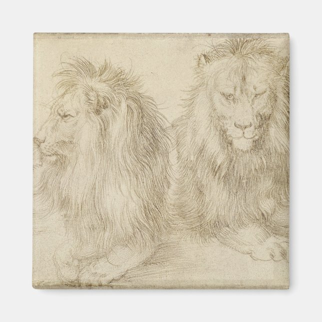 Zwei Sitzbänke (Wildtiere) (Albrecht Durer) Magnet (Vorne)