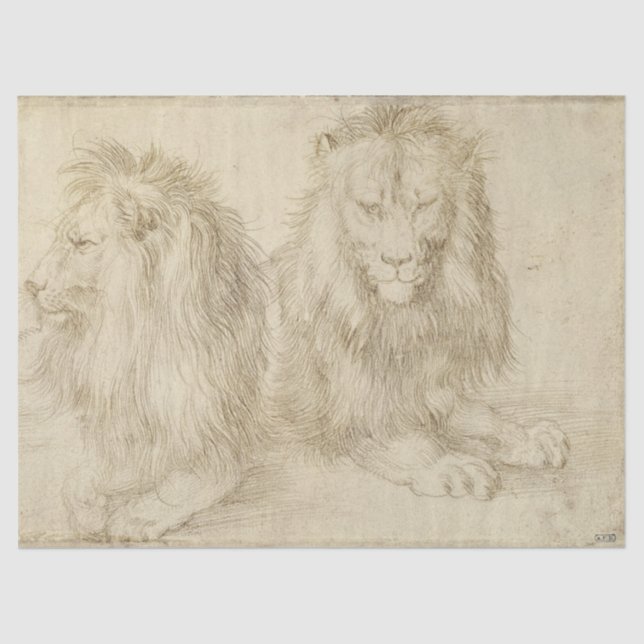 Zwei Sitzbänke (Wildtiere) (Albrecht Durer) Seidenpapier (Vorderseite)