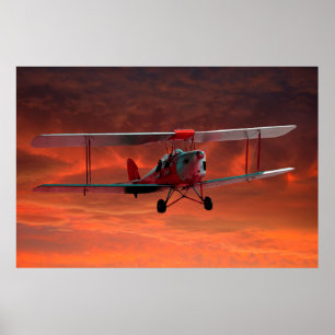 Zwei Sitzplätze Tigermoth Poster