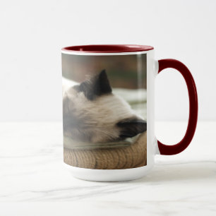 Zwei Sleepy Siamese Tasse