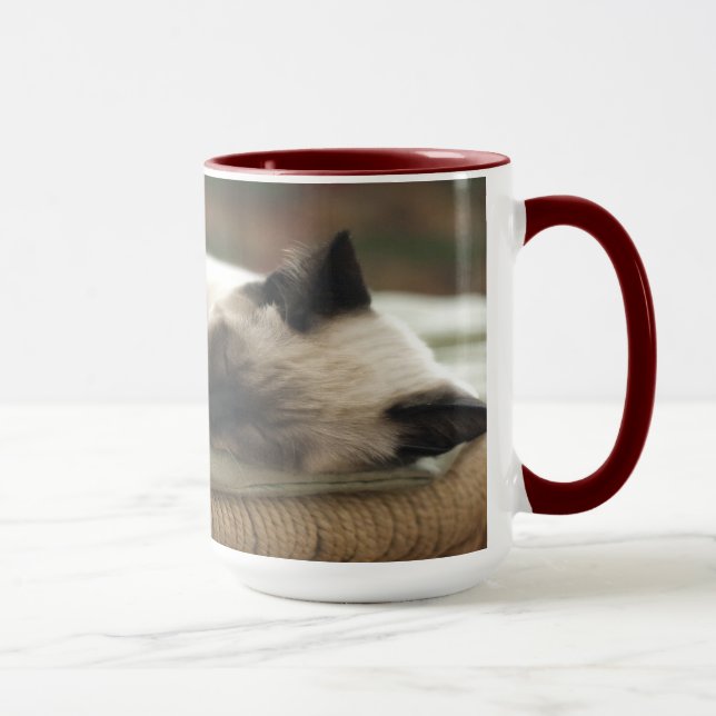 Zwei Sleepy Siamese Tasse (Rechts)