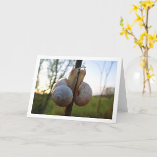 Zwei Snacks auf einer Steppkarte Karte