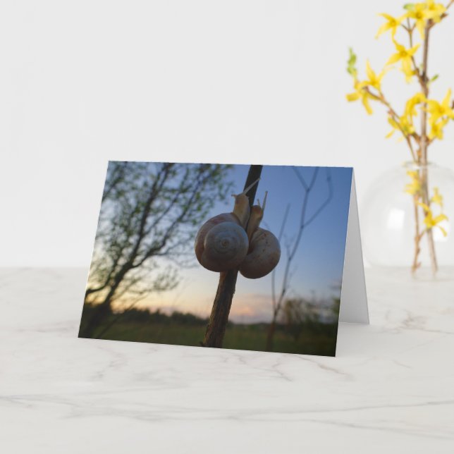 Zwei Snacks auf einer Steppkarte Karte (Gelbe Blume)