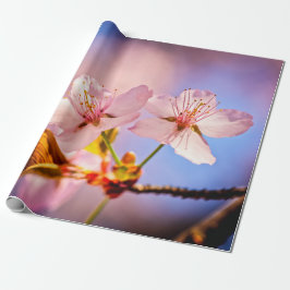 Zwei sonnenbeleuchtete Sakura-Blüten Geschenkpapier