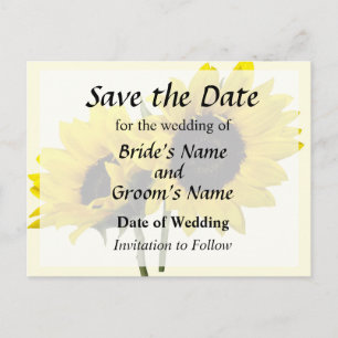 Zwei Sonnenblumen Ankündigungspostkarte