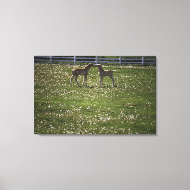 Zwei Spalten im Feld Leinwanddruck (Vorderseite)