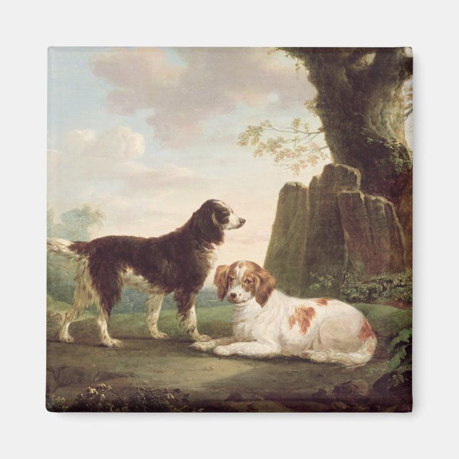 Zwei Spaniels in einer Landschaft Magnet (Vorne)