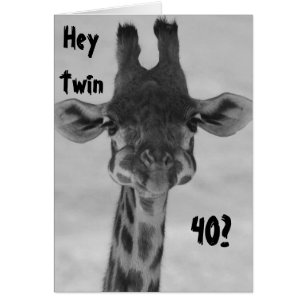 ZWEI SPASS ERSTAUNT GIRAFFE SAGT "DIR" "40?" MEIN