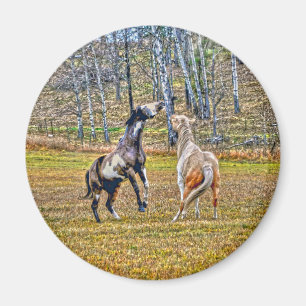 Zwei spielerische Pinto Paint Horses Equine Art De Magnet