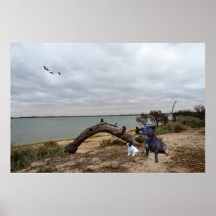 Zwei Staffordshire Bull Terrier am See Poster