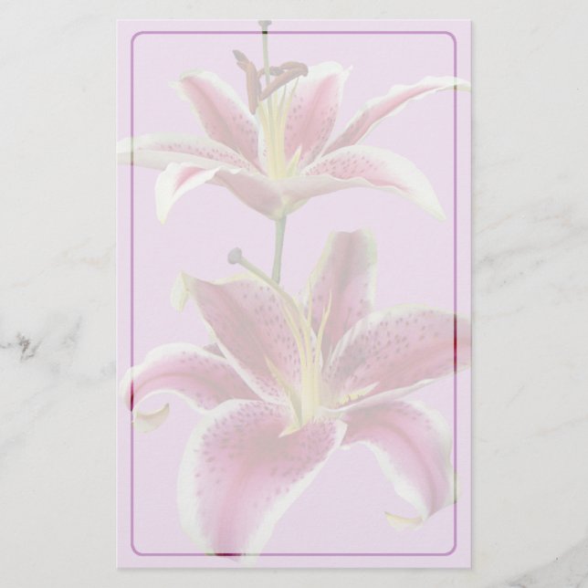 Zwei Stargazer-Lilien-Briefpapier Briefpapier (Vorderseite)