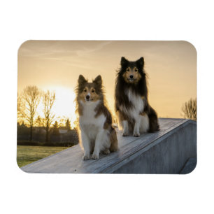Zwei Stelen auf einem Dach bei Sonnenaufgang Magnet