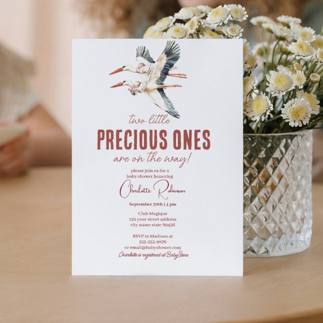 Zwei Storchen und zwei Babyduschen Einladung (Von Creator hochgeladen)