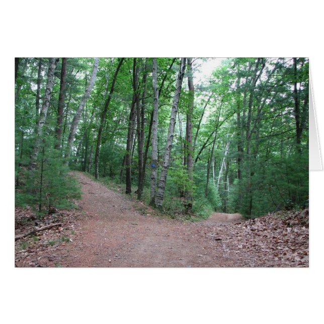 Zwei Straßen in einem gelben Holz (Vorderseite (Horizontal))