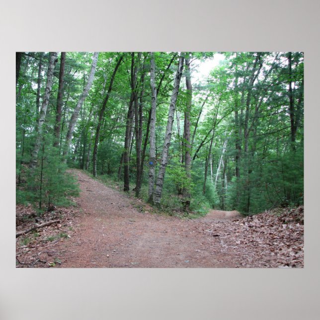 Zwei Straßen in einem gelben Holz Poster (Vorne)