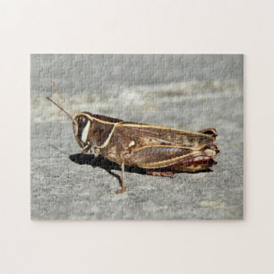 Zwei-Streifen Grasshopper Foto Puzzle mit Geschenk