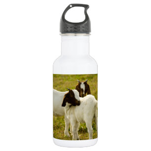 Zwei süße Boer-Ziegen Trinkflasche
