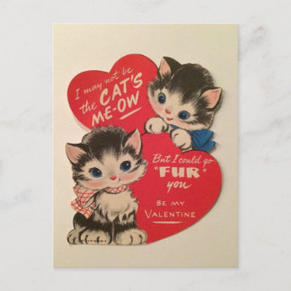 Zwei süße Kätzchen Vintage Valentinstag-Postkarte Postkarte