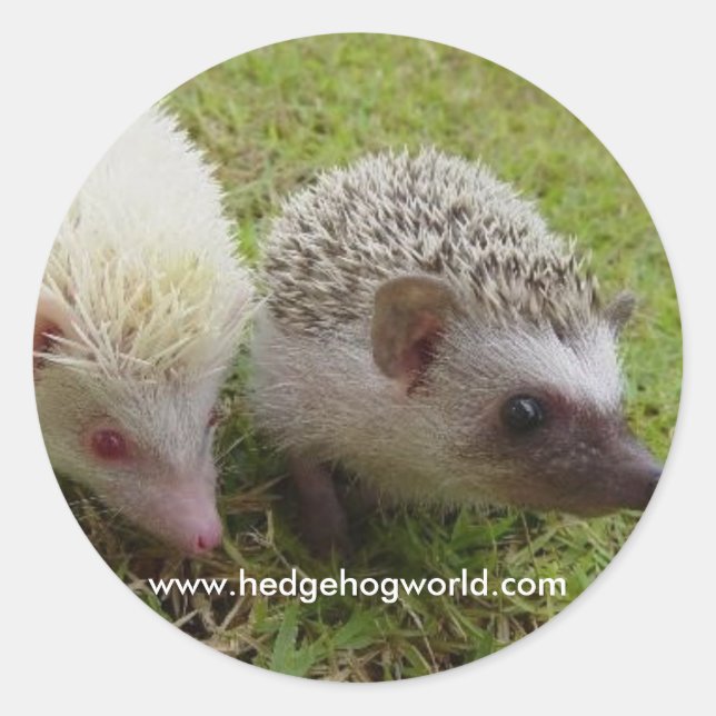 Zwei Süssen Aufkleber (Vorderseite)