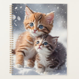 Zwei Tabby Kätzchen spielen im Schnee Winter Planer