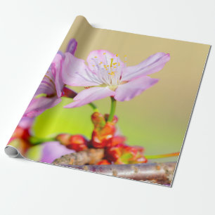 Zwei tapfere Sakura-Blume und farbenfroher Hinterg Geschenkpapier