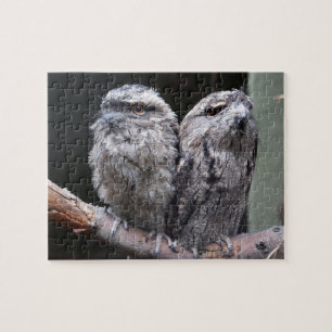 Zwei Tawny Frogmouth Birds Puzzle