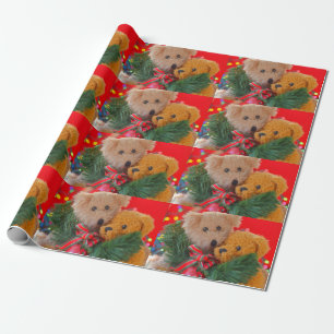 Zwei Teddybären mit Grün und Bogen Geschenkpapier