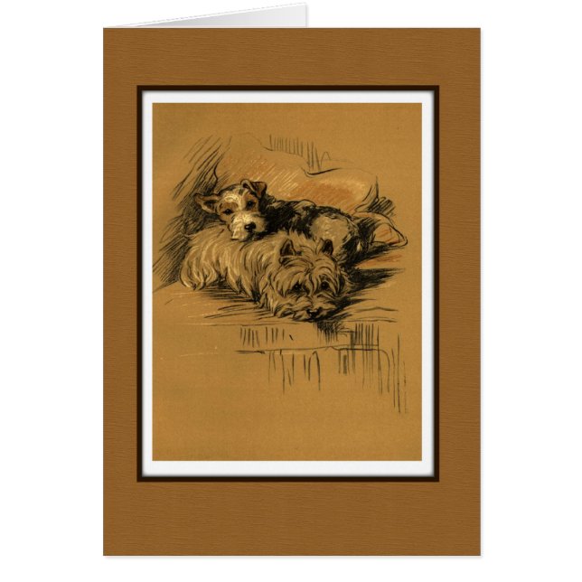 Zwei Terrier Hunde Cuddling (Vorne)