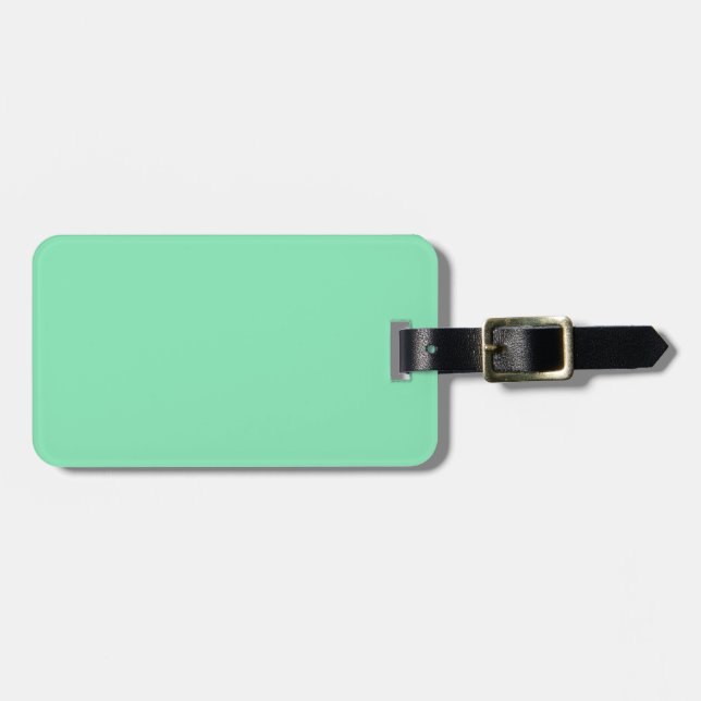 Zwei-Tone-Brawn & Mint-Green-Gepäckmarke Gepäckanhänger (Vorderseite horizontal)