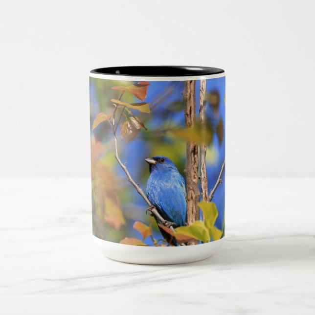 Zwei Töne Tasse mit Foto von indigo bunting (Mittel)