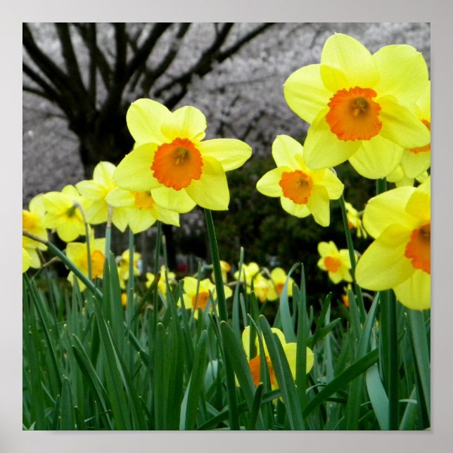 Zwei Tonen Poster (Vorne)