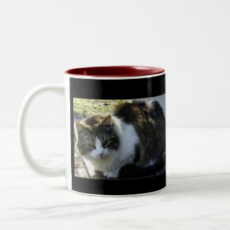 Zwei tonten Kitty-Tasse Zweifarbige Tasse