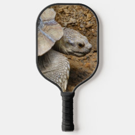 Zwei Tortoises Pickleball Schläger