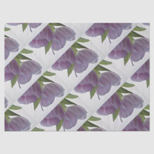 Zwei Tulips nach unten opt.2 Seidenpapier