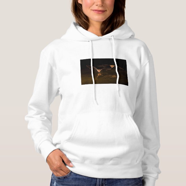 Zwei über Wasser fliegende Fledermäuse, Arizona Hoodie (Vorderseite)