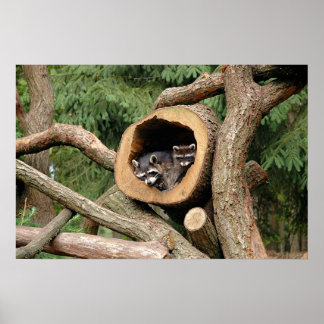 Zwei Unternehmen Poster