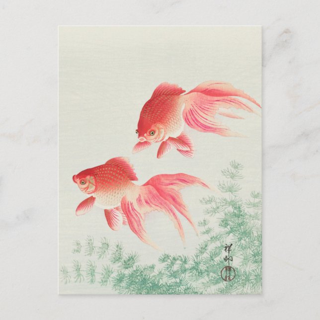 Zwei Veil Goldfish Gemälde von Ohara Koson Postkarte (Vorderseite)