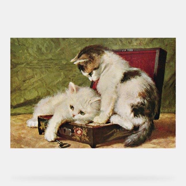 Zwei verspielt Kätzchen Acrylschild (Vorderseite)