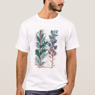 Zwei Vielzahl von Artemesia T-Shirt