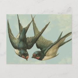 Zwei Vintage Schwalben Postkarte