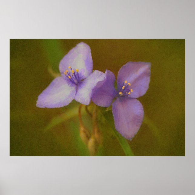 Zwei violette Blumen Art Wildblume Poster (Vorne)